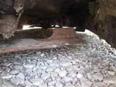 IMG_7463.JPG