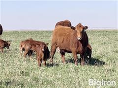 IMG_5863.JPG