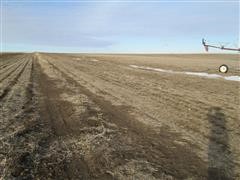 159.74+/- Acres Antelope County, NE