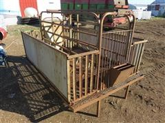 Raised Sow Farrowing Stall 