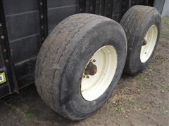 CIMG8156.JPG