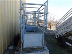 DSCN4765.JPG