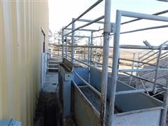 DSCN4768.JPG
