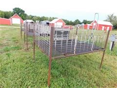 Shop Built Raised Deck Hog Nursery Pens 