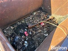 IMG_6980.jpeg