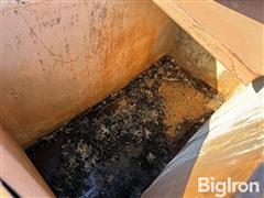 IMG_6977.jpeg