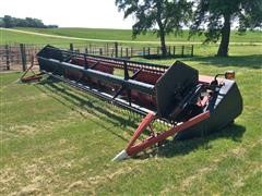 Case IH 1020 25' Bean Header & Head Mover 