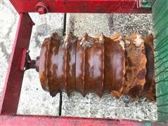 IMG_2206.jpg