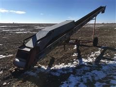 Kewanee 500 Bale/Ear Corn Elevator 