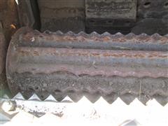 IMG_3977.JPG
