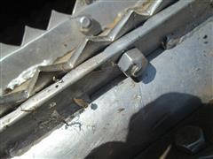 IMG_3978.JPG