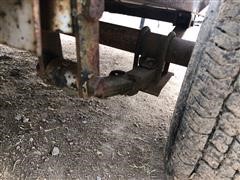 IMG_5029.JPG