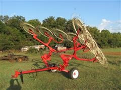 Enrossi 30390RT 10 Wheel Rake 