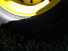 2161.jpg