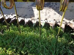 DSC00906.JPG