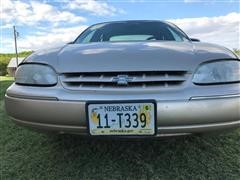 IMG_6961.JPG