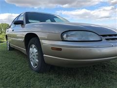 IMG_6962.JPG