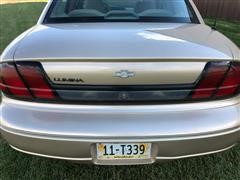 IMG_6974.JPG
