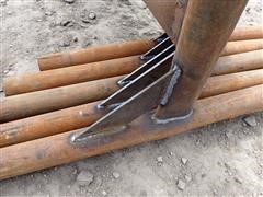 P4100174a.JPG