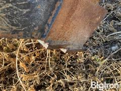 8133DFBF-F093-46DD-A9AC-1640FEF62776.jpeg