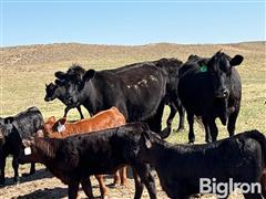 DJI_20250501_104404_246.JPG