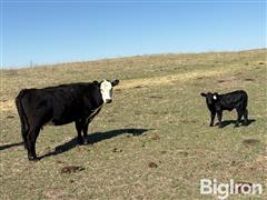 DJI_20250501_102600_489.JPG