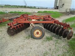 IMG_4917.JPG