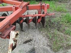 IMG_4924.JPG