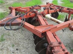 IMG_4929.JPG