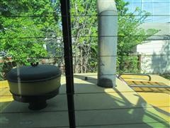 IMG_4342.JPG