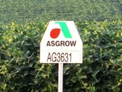 Asgrow-sign-w-Soybeans.jpg