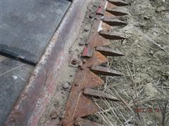 DSCF6912.JPG