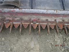 DSCF6913.JPG