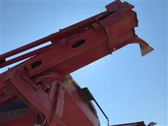IMG_5546.JPG