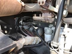 IMG_5567.JPG