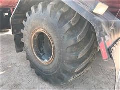 IMG_5503.JPG