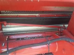 20150825_153851.jpg