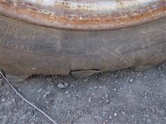 IMG_1283.JPG
