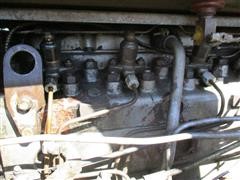IMG_1287.JPG