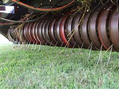 IMG_6593.JPG