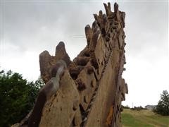 DSC01452.JPG