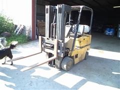 Cat T50D Forklift 