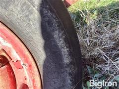 a4e5485c090d476d9049a75ead9818df.jpg