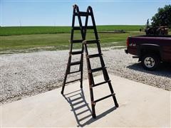 Little Giant Pro Series Ladder 