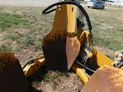 DSCN5616.JPG