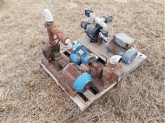 Electric Molasses Pumps And Water Pump 