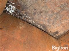 IMG_5775.jpeg