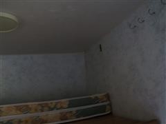 DSC07709.JPG