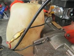 IMG_6219.JPG