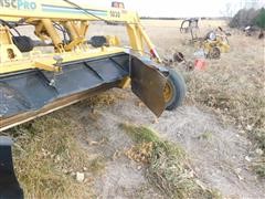DSCN0367.JPG